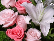 Fresh Flowers, Shop Now in Dana Point, Laguna Beach or Corona del Mar